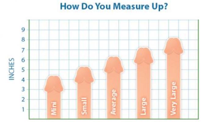 Pictures Of Dick Sizes 104