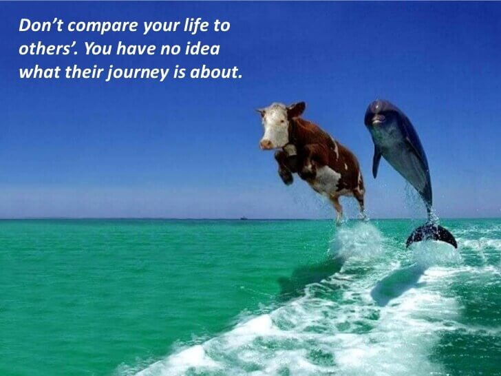 Inspirational Quotes