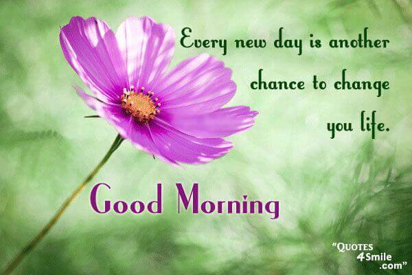 Inspirational Quotes