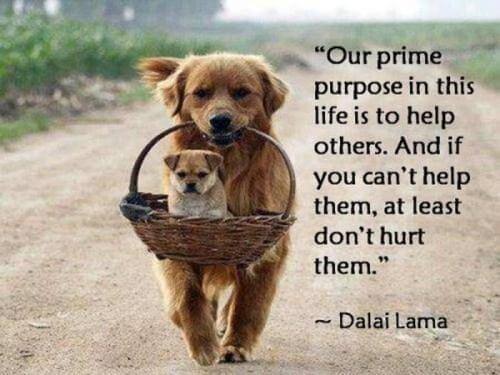 Inspirational Quotes