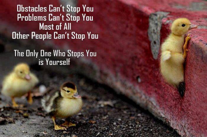 Inspirational Quotes