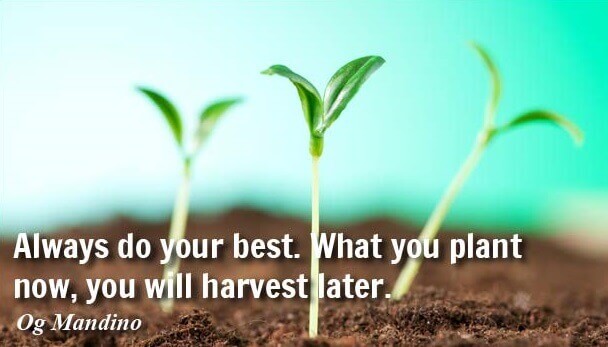 Inspirational Quotes