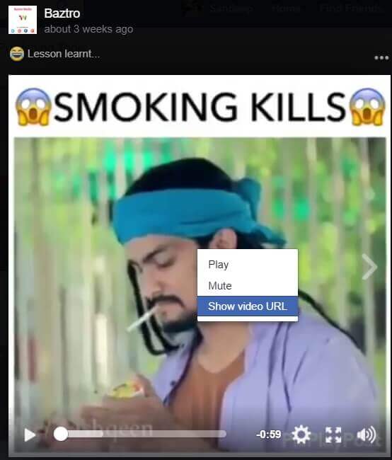 Facebook Video Download Online
