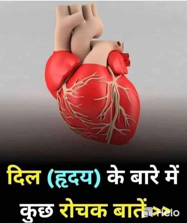interesting fact about human heart