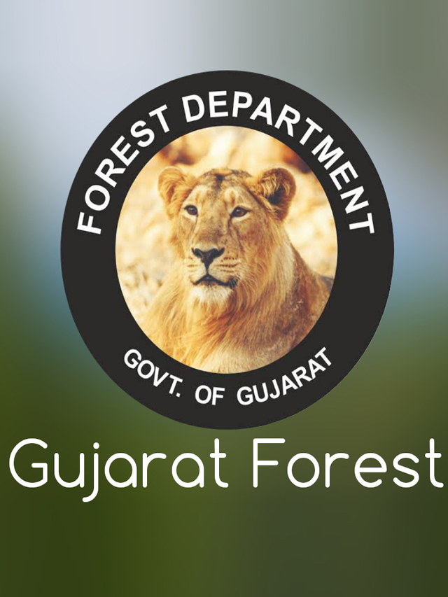Gujrat Forest Job